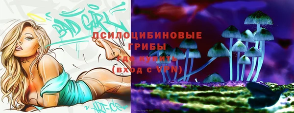 спайс Белокуриха