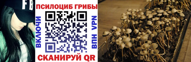 Псилоцибиновые грибы MAGIC MUSHROOMS  МЕГА ONION  Буйнакск 