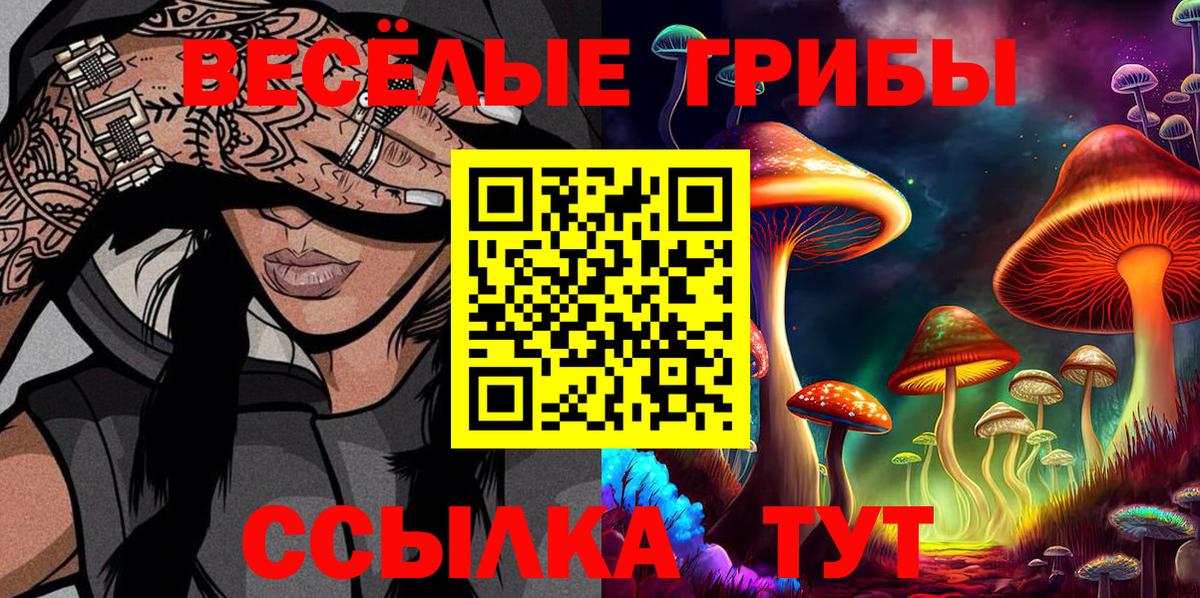 Псилоцибиновые грибы GOLDEN TEACHER  сколько стоит  Буйнакск  Вход с VPN  Псилоцибиновые грибы MAGIC MUSHROOMS 