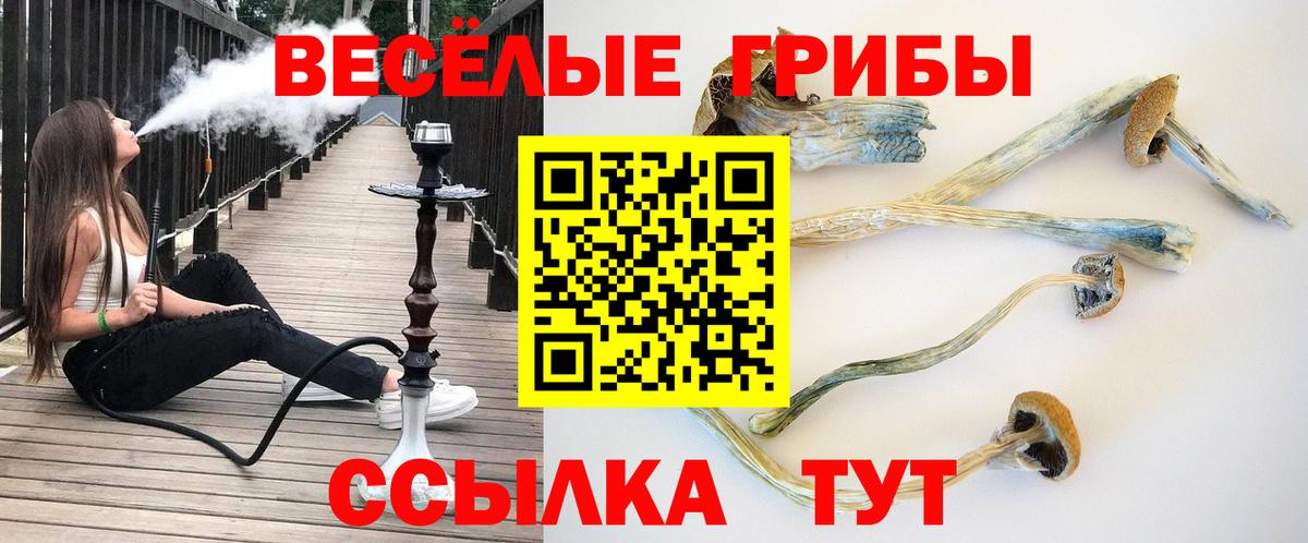 Псилоцибиновые грибы ЛСД Буйнакск